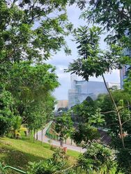 Mount Sinai Road (D10), Terrace #446686371
